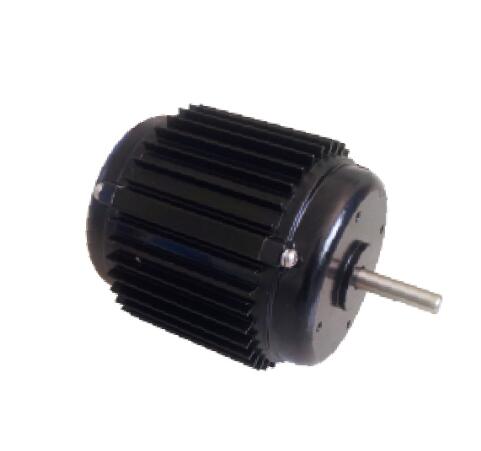 Pump AC Motors