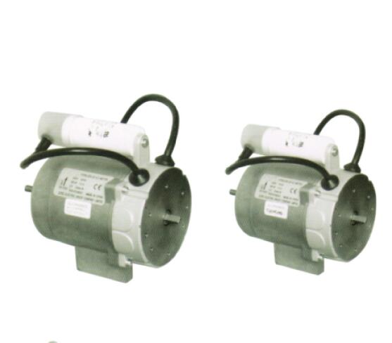 Pump AC Motors