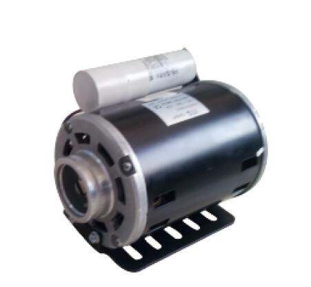 Pump AC Motors