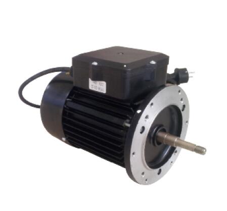 Pump AC Motors